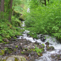 Vacation Day 1: Columbia River Gorge - Scott Bradford: Off on a Tangent